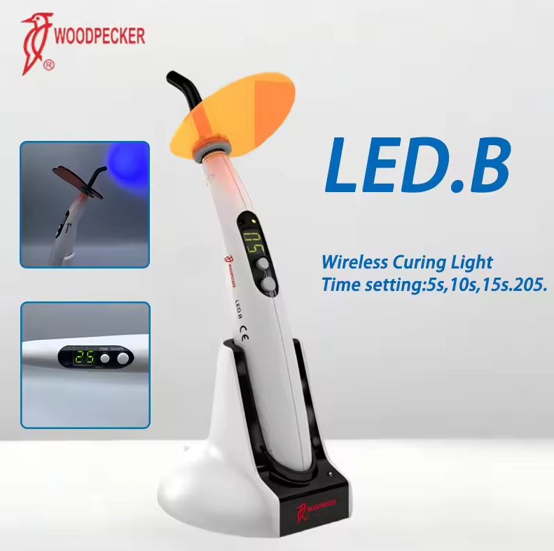 치과용 광중합기 우드페커 LED B LED 기계 구강  - Teeth Whitening Dental 리뷰 및 가격